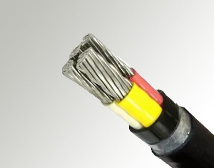 Силовые кабели с пластмассовой изоляцией 2x10 мм АВБШв ГОСТ 16442-80